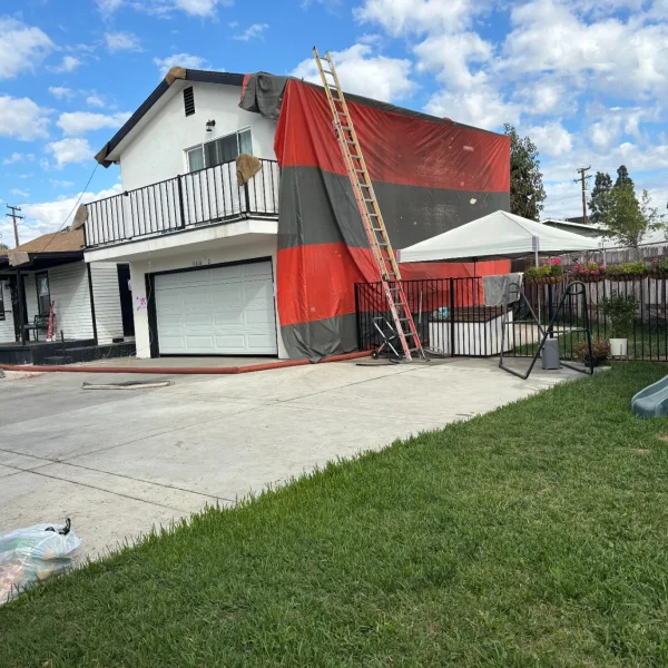 fumigation-1-D6ujhbZo