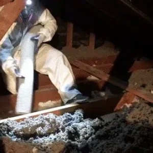 insulation-lNI0PE (1)